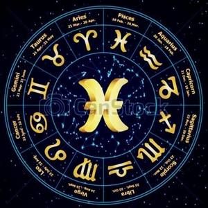 Meet your Posher, Jaysen